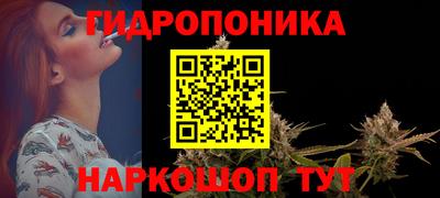 гашик Кунгур