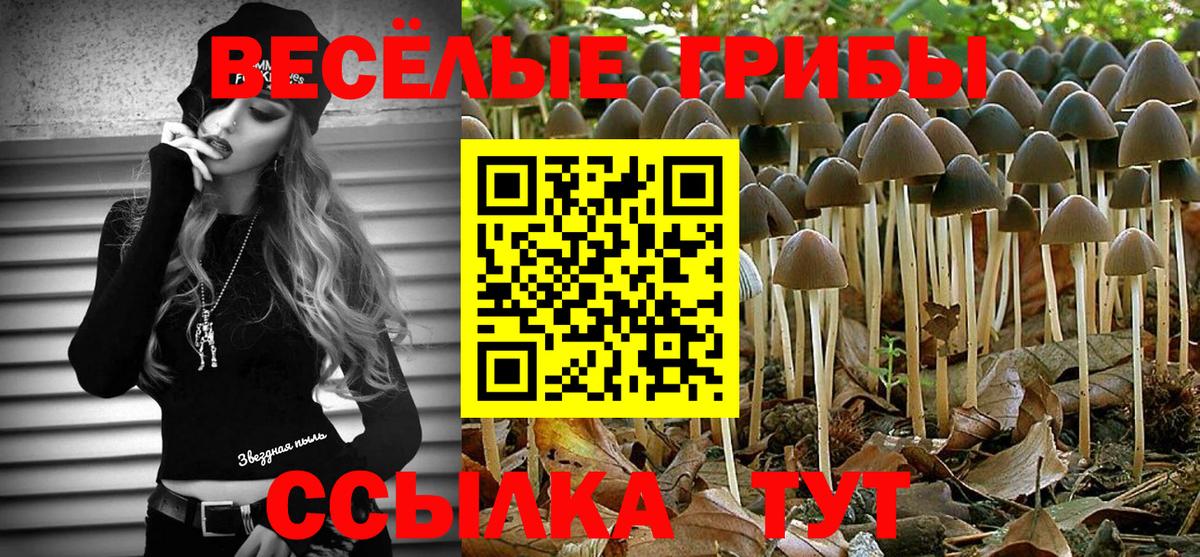 Галлюциногенные грибы мухоморы Кириши